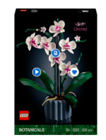 L’orchidée à 38,99€