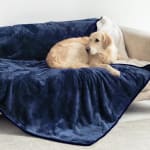 Dreamzie Manta impermeable para perro y gato 127 × 152 cm por 11,99€ en Amazon
