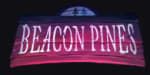 Beacon Pines nu gratis bij Epic Games Store