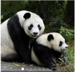Ouwehands Dierenpark entree ticket voor €19,50 in de AH voordeelshop