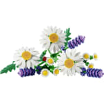 LEGO Botanicals Marguerites 11508 pour 9,59€ chez Carrefour