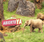 Pack Apartamentos La Marina Sunset 3000 + Entradas a Cabárceno desde 66€/pers