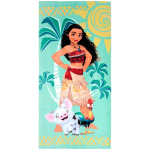 Toallas playa, varios modelos por 3.99€(tiendas físicas)