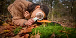 Gratis Paddenstoelenpakket van OERRR bij Natuurmonumenten