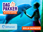 Entreeticket Dolfinarium voor €16,95 via Tripper