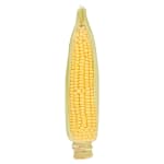 Tesco Sweet Corn Each Class 1 for £0.50 at Tesco