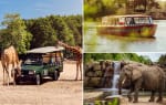 Entreeticket Safaripark Beekse Bergen voor €21,35 via Tripper
