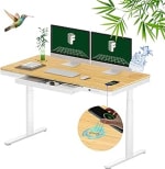 Flexispot Q8 Comhar Pro Mesa Escritorio por 559,99€
