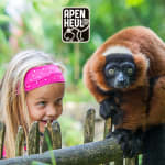 Tickets Apenheul voor €12,32 dmv code