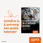 Gratis kalender met weetjes over katten