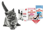 Kit de regalo Royal Canin gratis