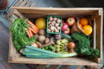 15% korting op box vol groente en fruit aan huis geleverd