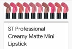 !!!Gratis mini lipstick!!! ST ST Professional Creamy Matte Mini Lipstick