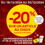 20% korting op 1 artikel naar keuze bij Brico met de code/bon
