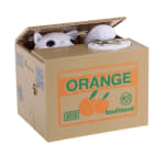 Novelty Cat Steal Coins Piggy Bank Coin Box voor €8,15 d.m.v. code