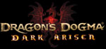 Jogo: Dragon's Dogma Dark Arisen para PC no Steam - R$ 11,99
