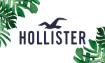 Rebajas liquidación hasta 95% descuento en la marca Hollister