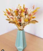 Colecciones de flores Colvin -10% en flores y plantas