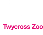 Pay for a day and keep a free annual membership with giftaid via Twycross Zoo