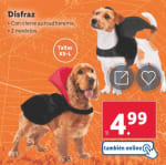 Disfraz de Halloween para perros, un must en outfit canino por 4,99€ en Lidl