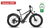 RadRhino 6 Plus fiets voor €1199 bij Radpowerbikes