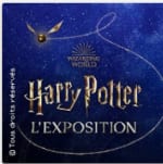 Billet adulte daté pour l'exposition Harry Potter à Paris à 25€