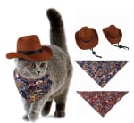 Sombrero + bufanda para gato por $7,98 en AliEspress