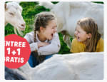 Entree Dierenrijk 1+1 gratis
