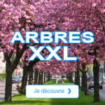 Offre 5€ sur premiere commande Planfor. Valable sur le rayon plantes pour un montant minimum de 20€