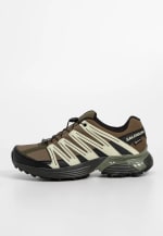 Zapatillas Salomon XT Backbone Gore-Tex para running por 66,60€