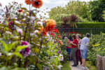 25% korting op je toegangskaart voor Kasteeltuinen Arcen, Paleis Het Loo, Bloemenpark Appeltern of Plantentuin Meise.