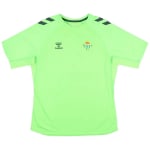 2024-25 Real Betis Hummel Training Shirt por 16,19€