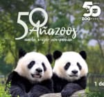 Zoo Aquarium de Madrid 1 Entrada por 22,95€.