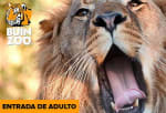 Entrada adulto para Buin Zoo a $8.990 en Cuponatic