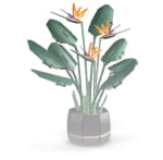 LEGO Set de Construcción Creativo de Flores Artificiales Ave del Paraíso Colección Botánical Lego Icons (Reacondicionado grado C) por 49€