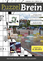Gratis promotie exemplaar puzzelbrein
