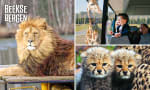Safaripark beekse bergen voor €14,95