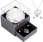 Eaprala Rosa Real Conservada con Collar por 21,72€