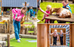 All-in entreeticket De Flierefluiter + Flierefluiter beker voor €9,95 via Tripper