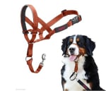 Collar Ronzal HALTI Company of Animals Ajustable con Banda de Nariz Acolchada color Naranja por 15,90€