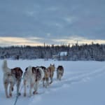 Retourtje Charleroi - Lapland voor €33,23