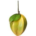 Enfeite de árvore Carambola com 12 peças da Christmas Traditions - R$ 12,99