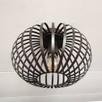 Agli plafondlamp met 20 euro korting