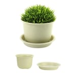 Acquire 10 of medium plant pots with saucers for £3.59 at eBay