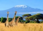 Vuelos ida y vuelta a Kenia desde Barcelona con equipaje facturado por 390€