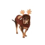 Disfraz Mascota Reno Perros Grandes Xxl por solo $5.000