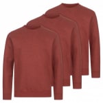Pack de 3 Sudaderas para Hombre RUSSELL Authentic Melange por 15.55€