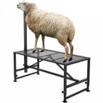 Support à bétail pour chèvre 51x23 pouces à 11,99€