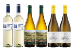 2 botellas de Enxebre 2023. + 2 botellas de Finca Vallejo Verdejo 2023. + 2 botellas de Señorío del Bierzo Godello 2023. por 33.4€