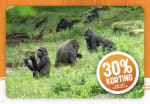 Krijg nu 30% korting op Apenheul tickets